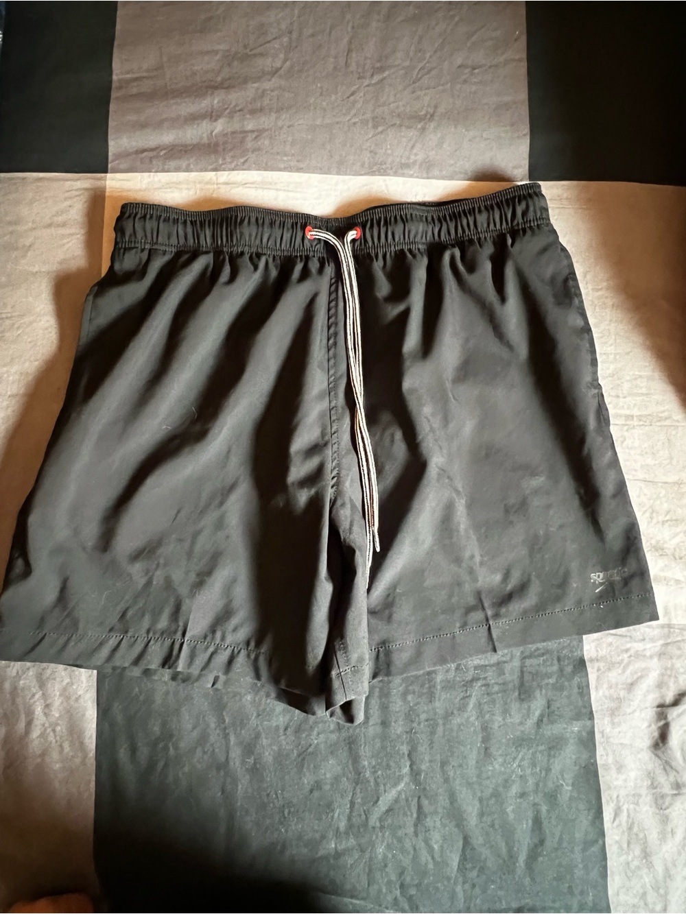 Speedo Black Men's Swim Trunks with Mesh Liner